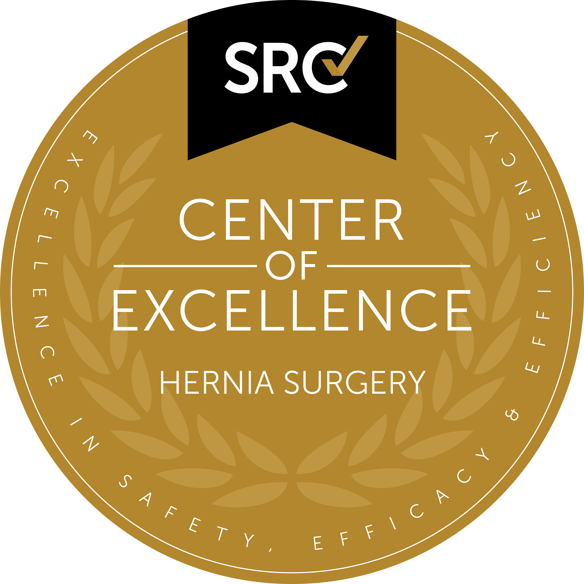 Center of Excellence, Hernia Surgery, SRC (Excellence in Safety, Efficacy & Efficiency) Award